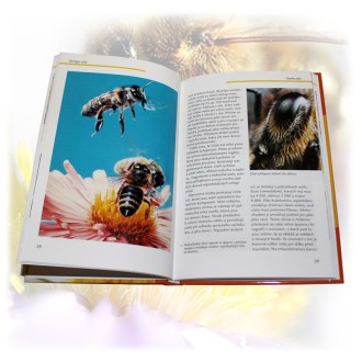 Zázračné včely - A. Spürgin